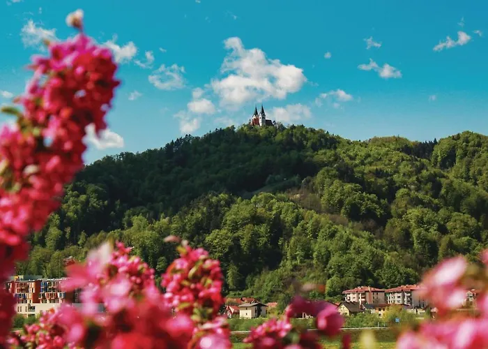 Beautiful In With Wifi *